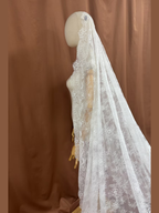 Genevieve Veil